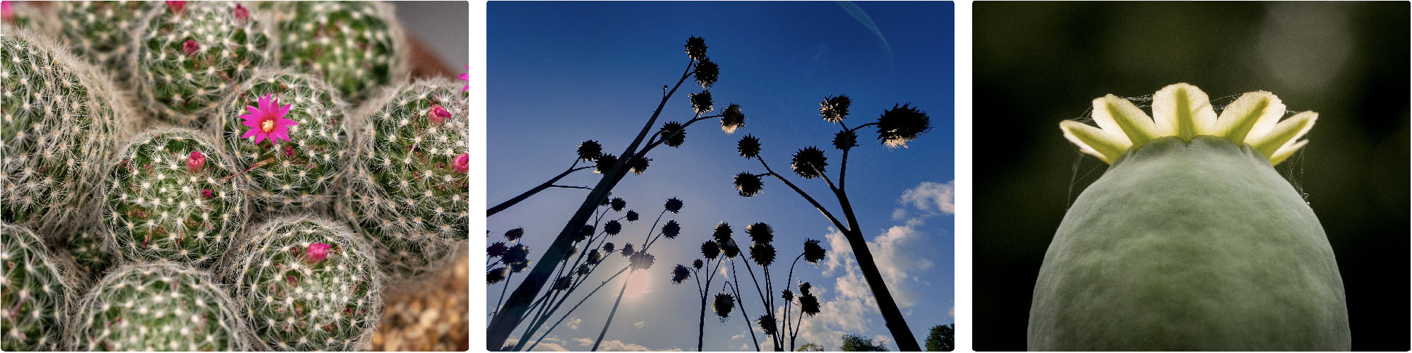Experiment with different angles to add interest and depth to your composition.