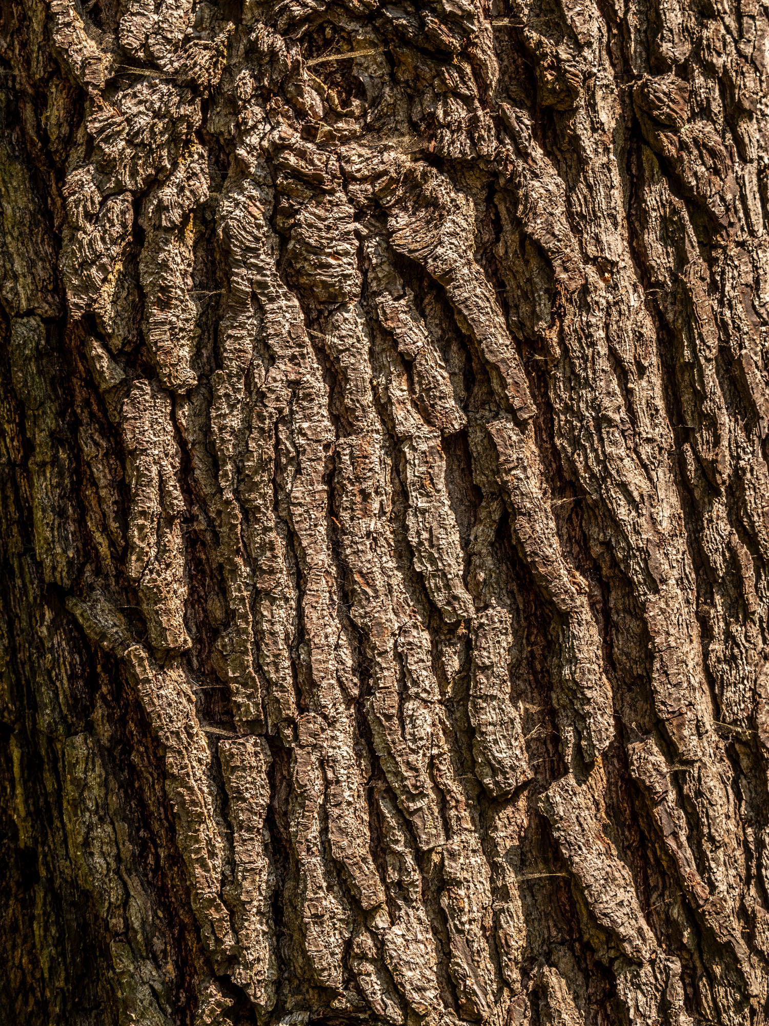 Capturing texture example.